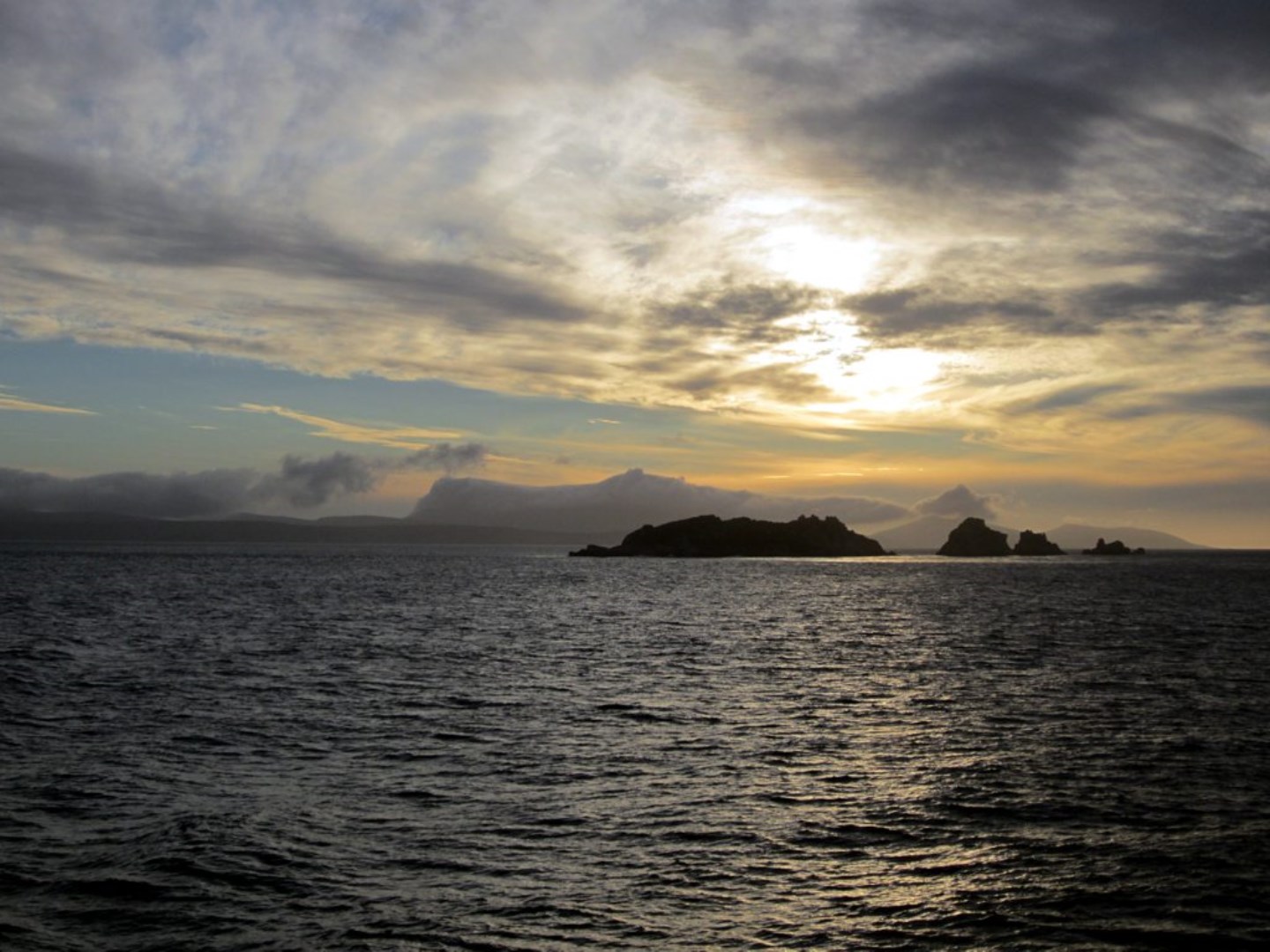  Photo Credit: Photo by David Stanley on Wikimedia