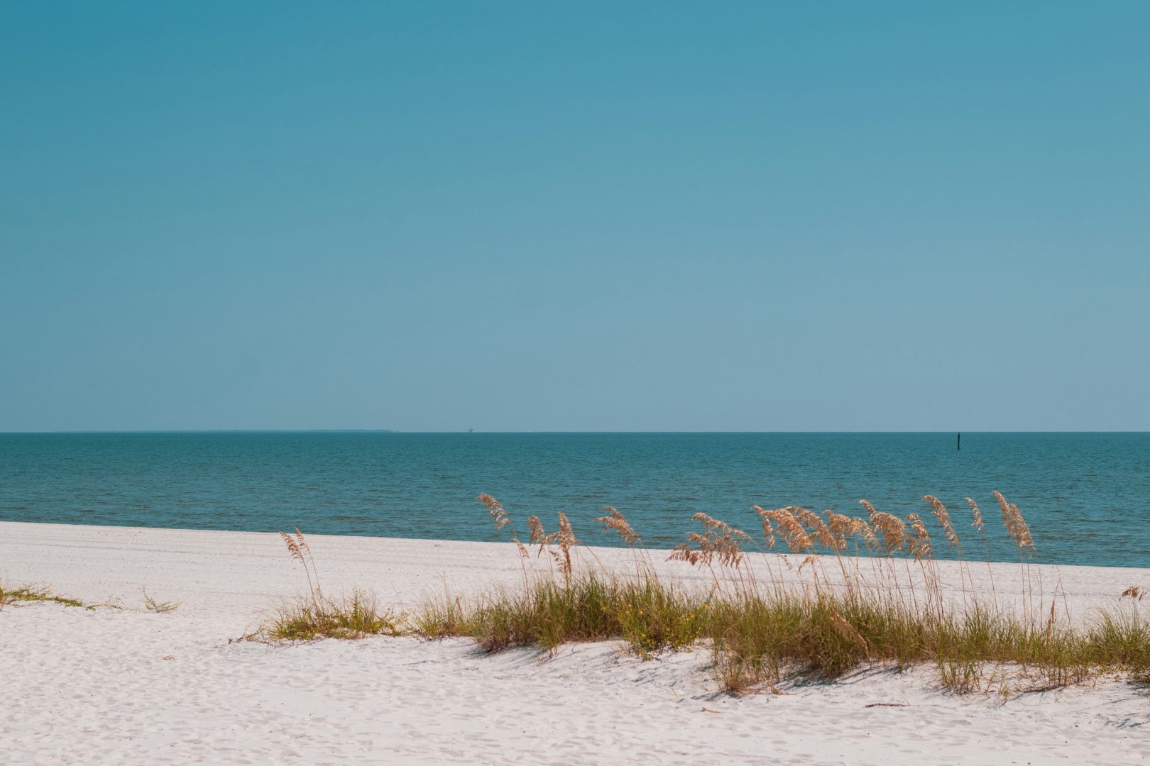  Photo Credit: Photo by Thomas Konings on Unsplash