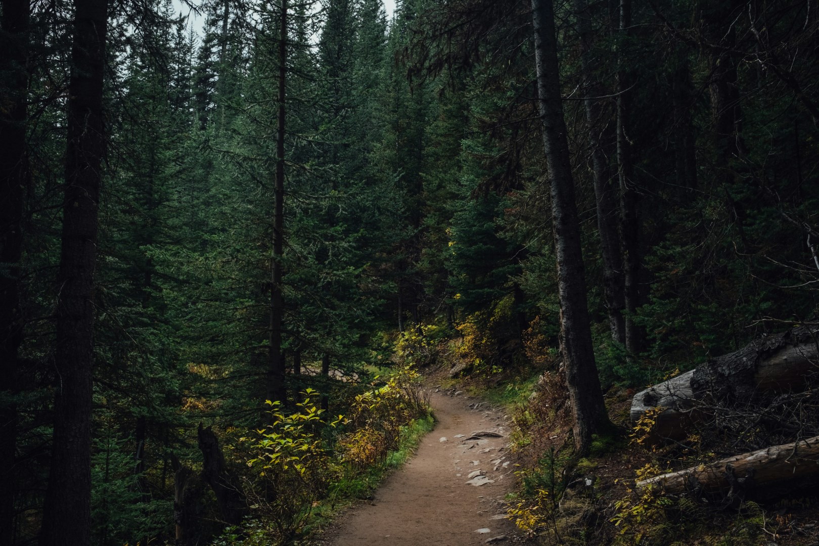  Photo Credit: Photo by Guillaume Flandre on Unsplash