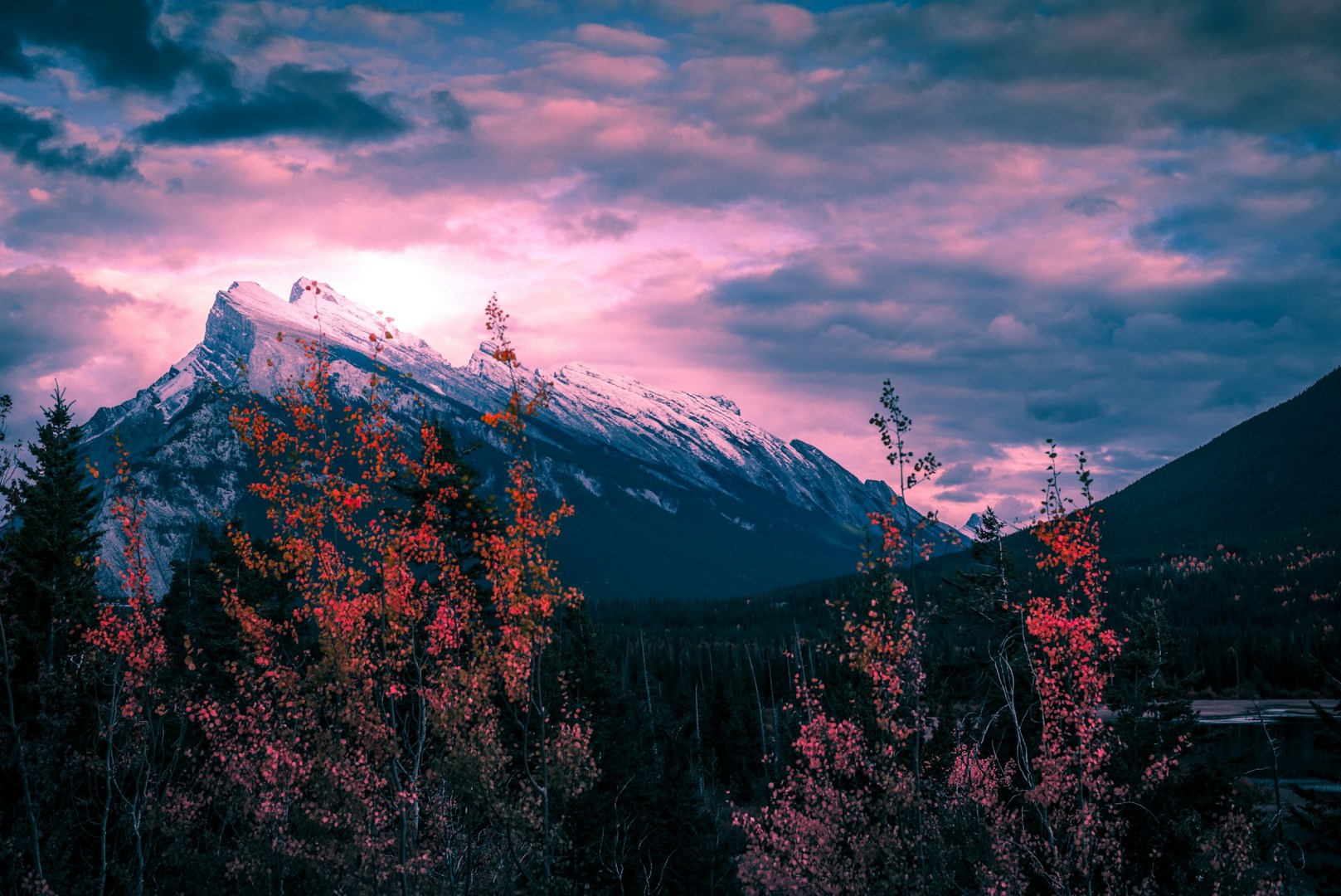 Photo Credit: Photo by Neil Rosenstech on Unsplash