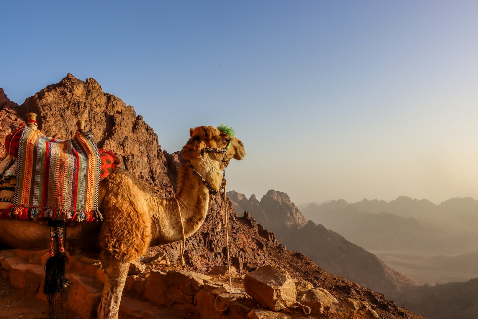  Photo Credit: Photo by Bogdan Nanescu on Unsplash
