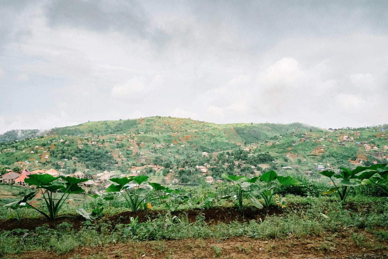 Freetown
