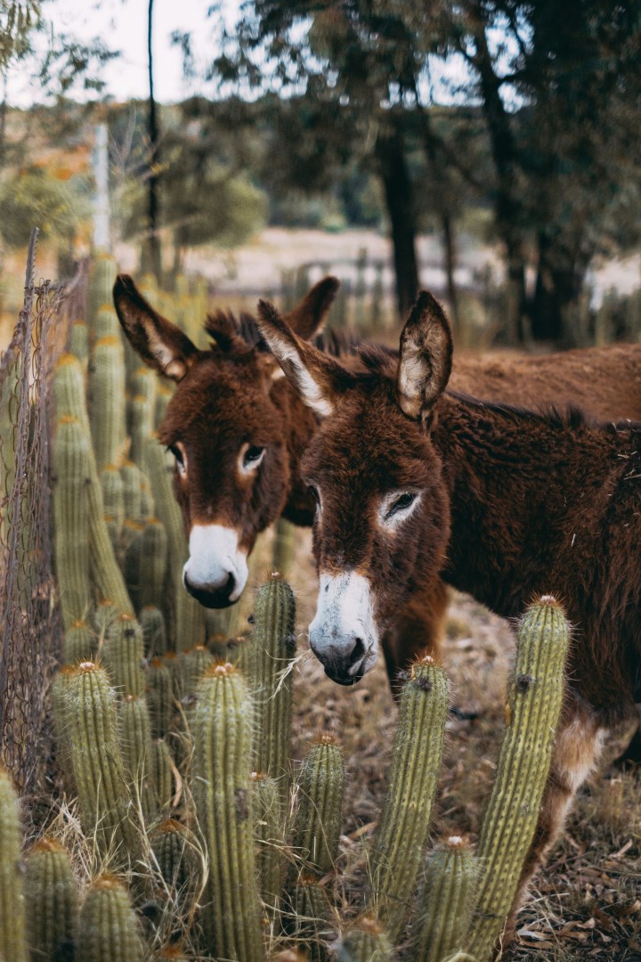  Photo Credit: Photo by Jean van Wyk on Unsplash