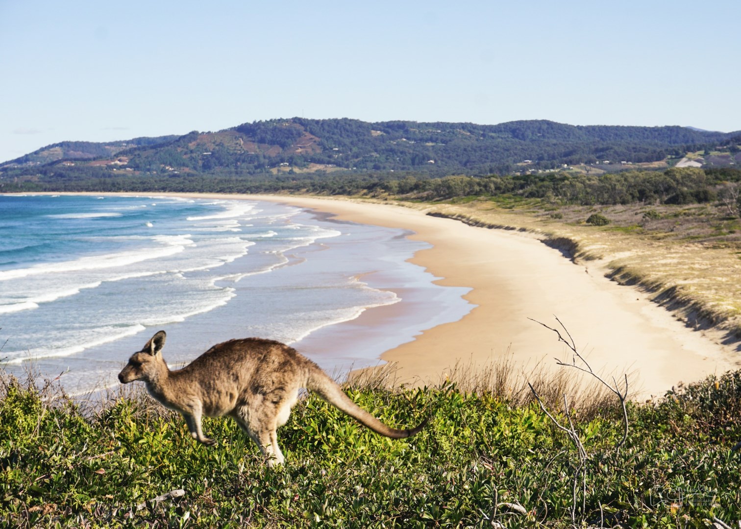 Emerald Beach - Photo Credit: Photo by Kristin Hoel on Unsplash