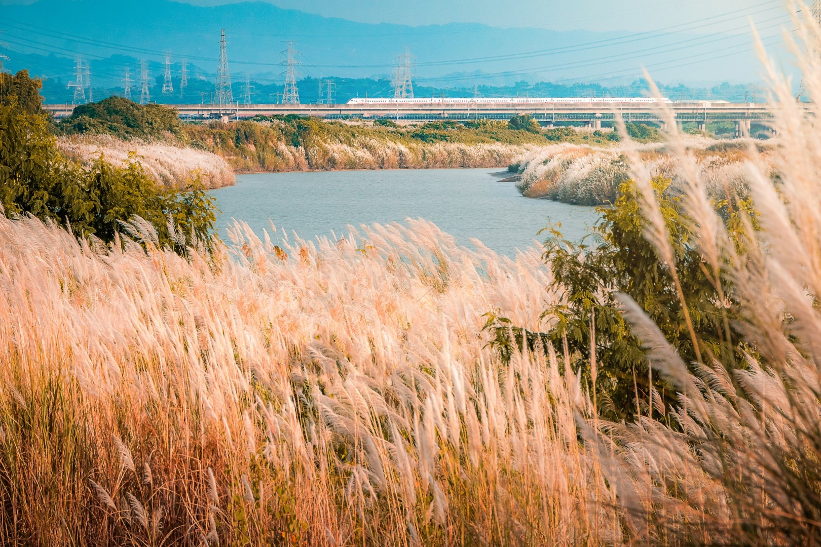  Photo Credit: Photo by Yu Hong Lee on Unsplash