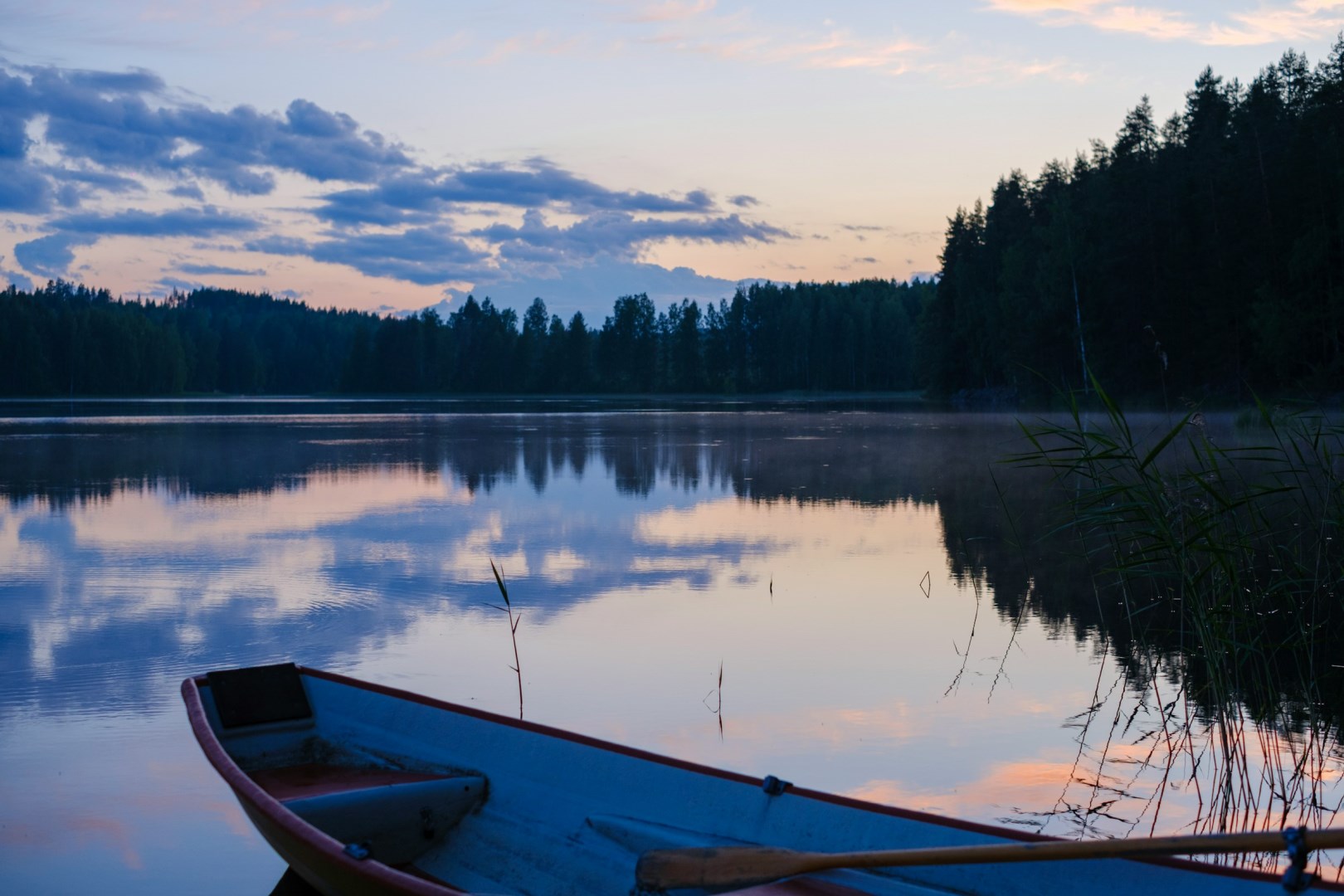  Photo Credit: Photo by Miikka Luotio on Unsplash