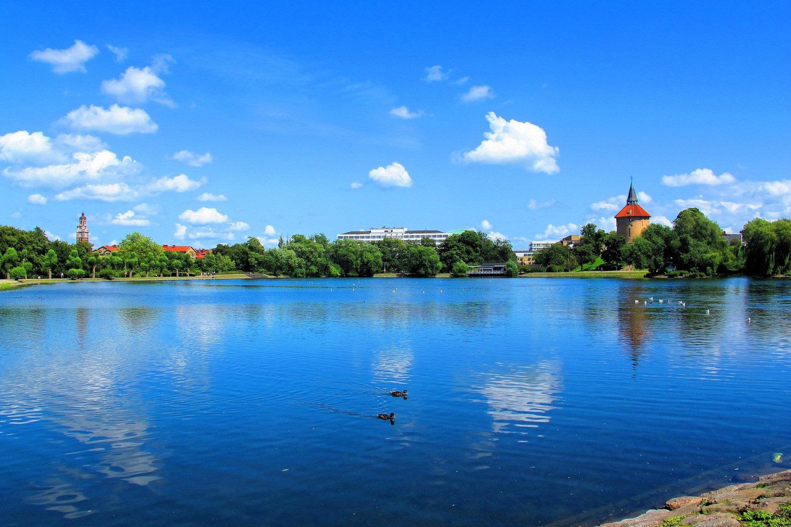  Photo Credit: Image by arniii from Pixabay