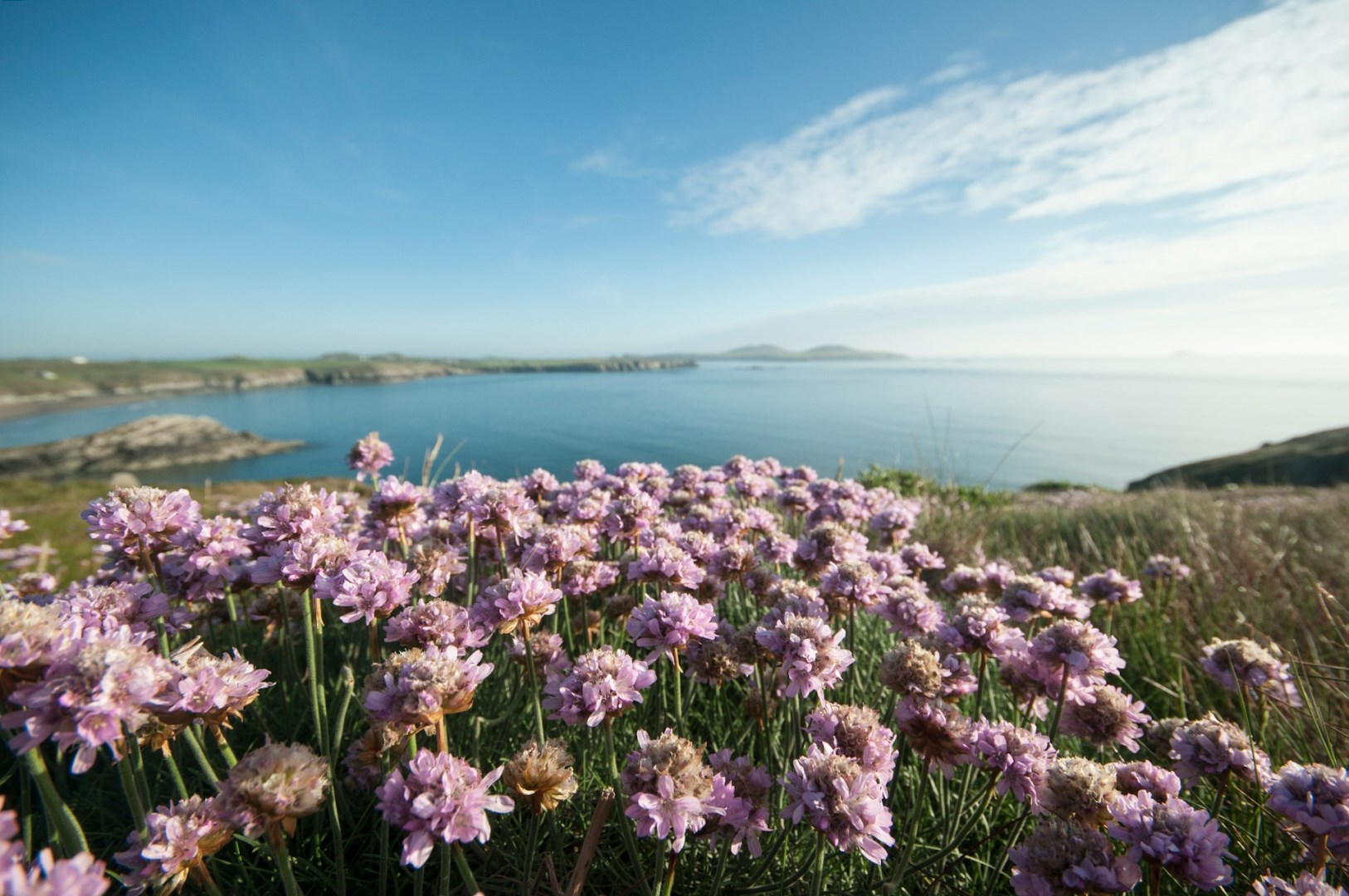 Whitesands Bay - Photo Credit: Photo by Jonathan Bean on Unsplash