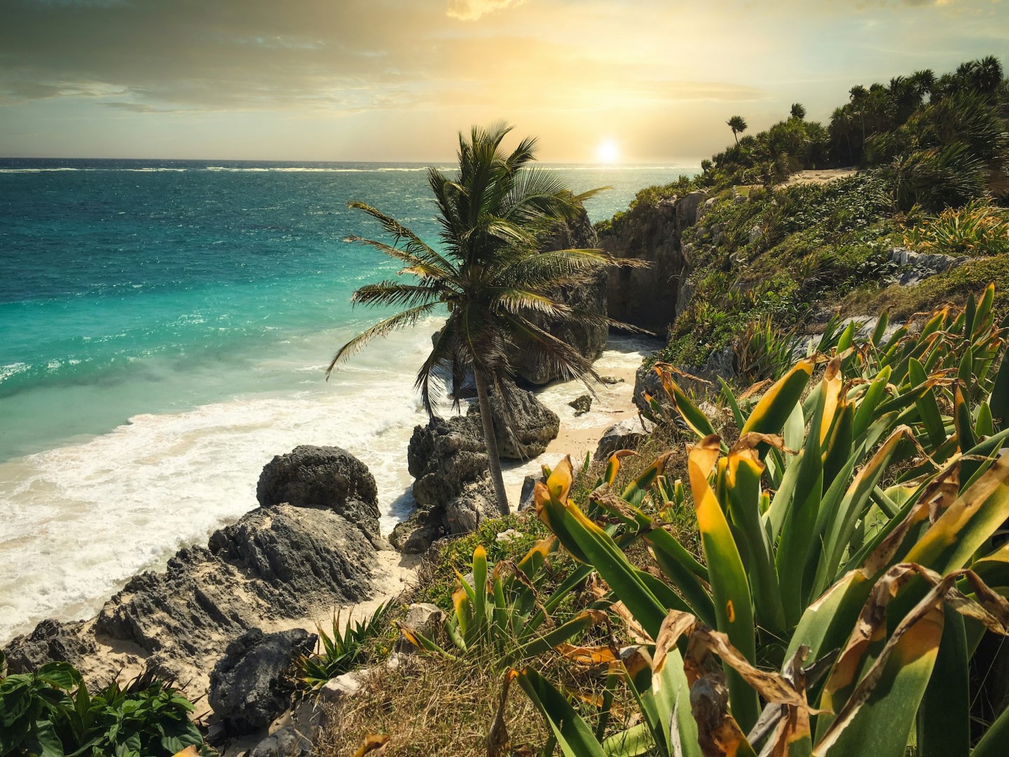  Photo Credit: Photo by Darren Lawrence on Unsplash