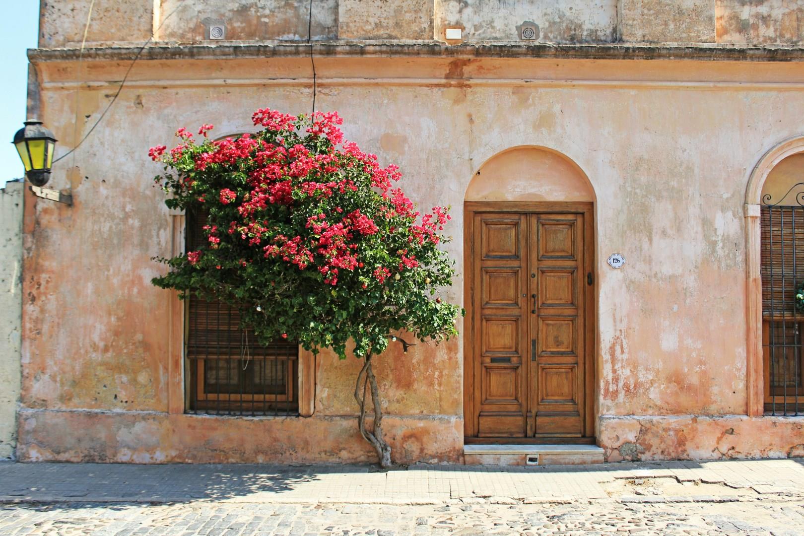 Colonia