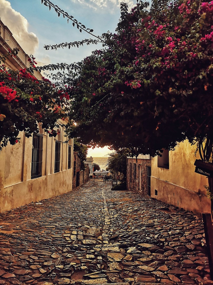  Photo Credit: Photo by Jorge Salazar Tovar on Unsplash