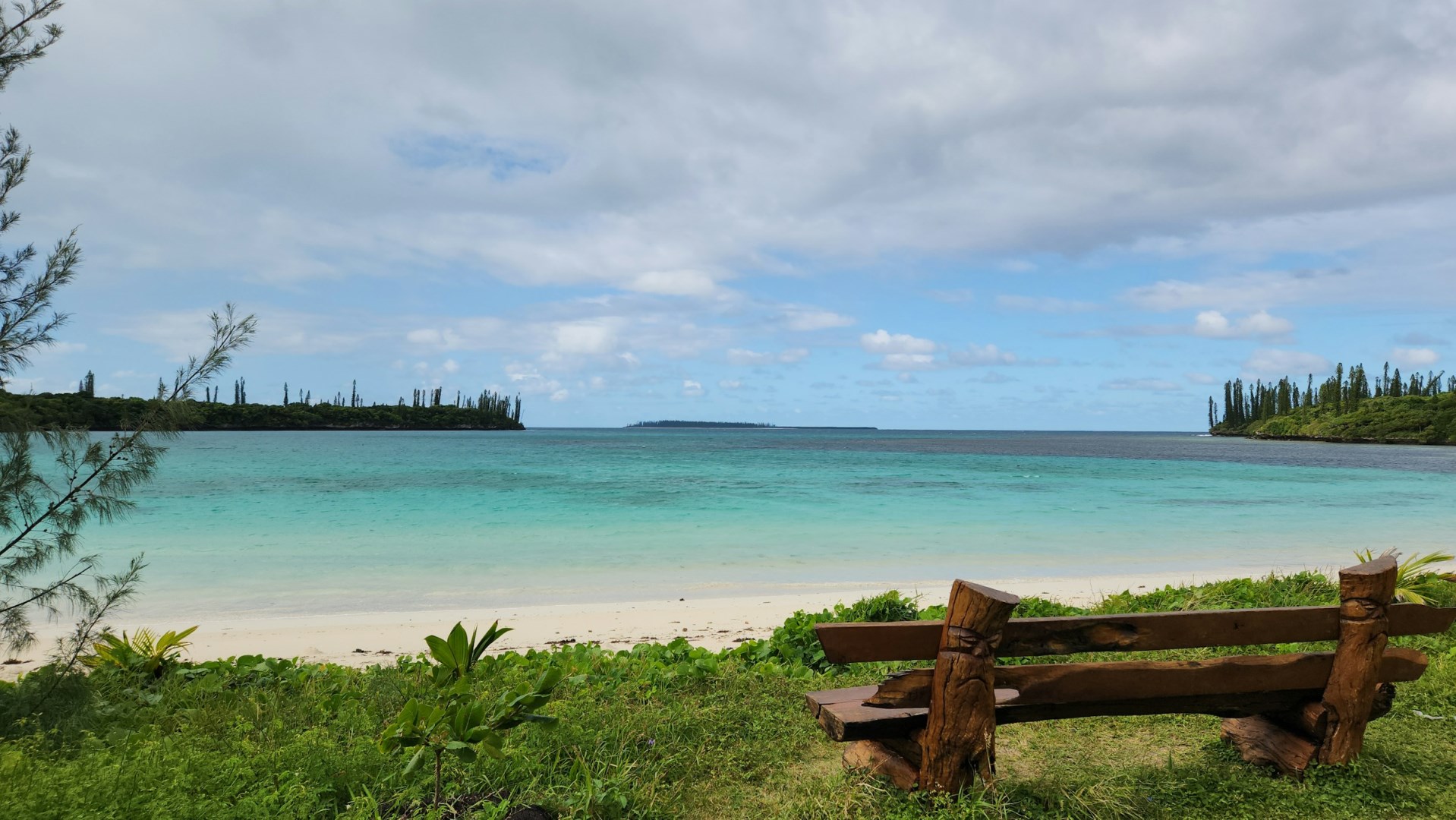  Photo Credit: Photo by Sawada Kedavra on Unsplash