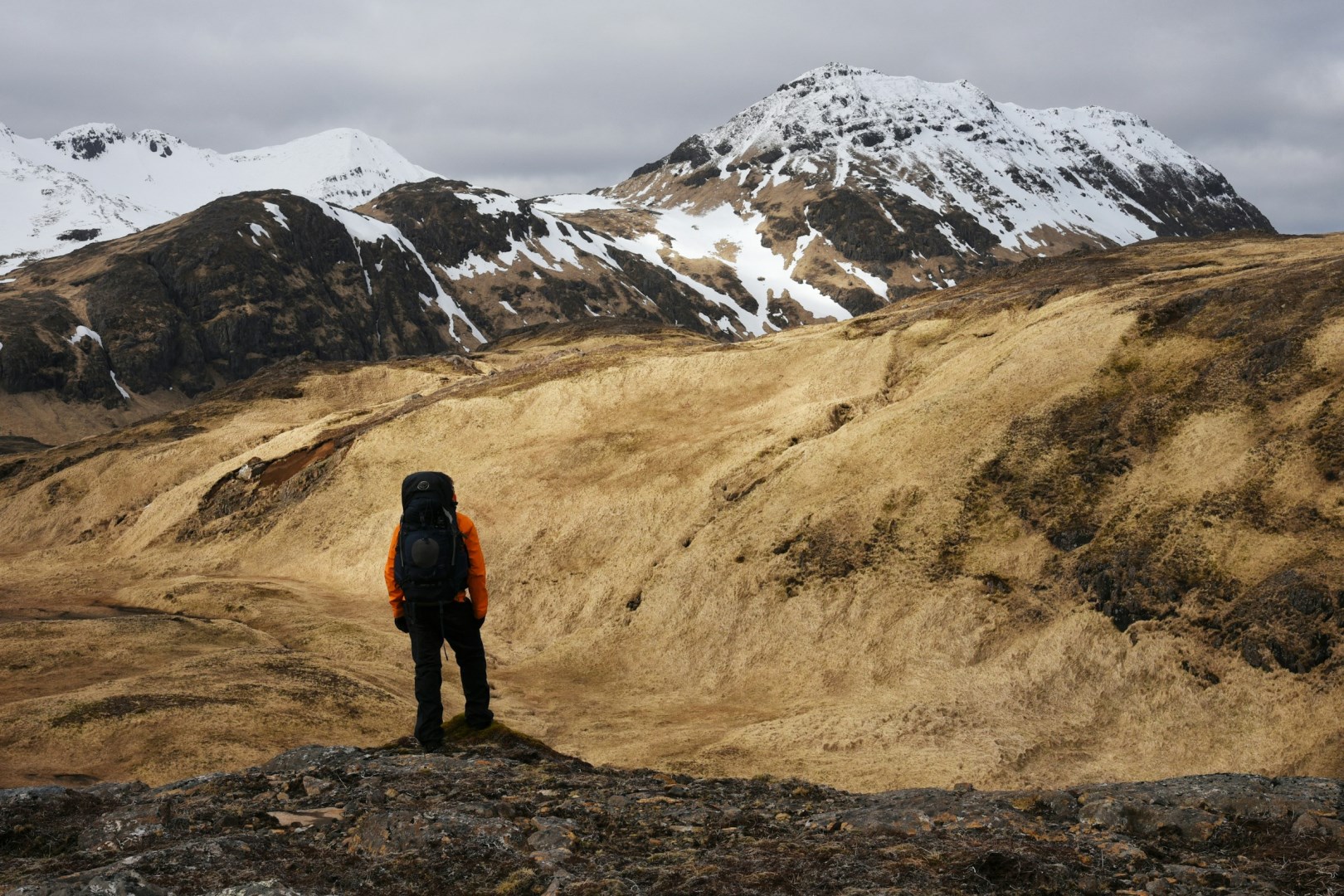  Photo Credit: Photo by Paxson Woelber on Unsplash
