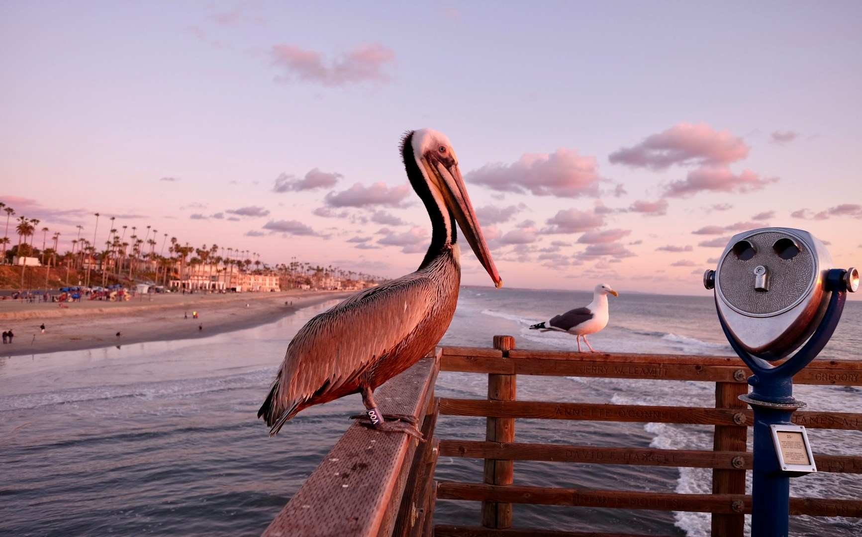  Photo Credit: Photo by Bruce Warrington on Unsplash