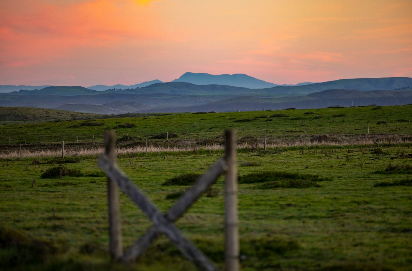  Photo Credit: Photo by Leo_Visions on Unsplash