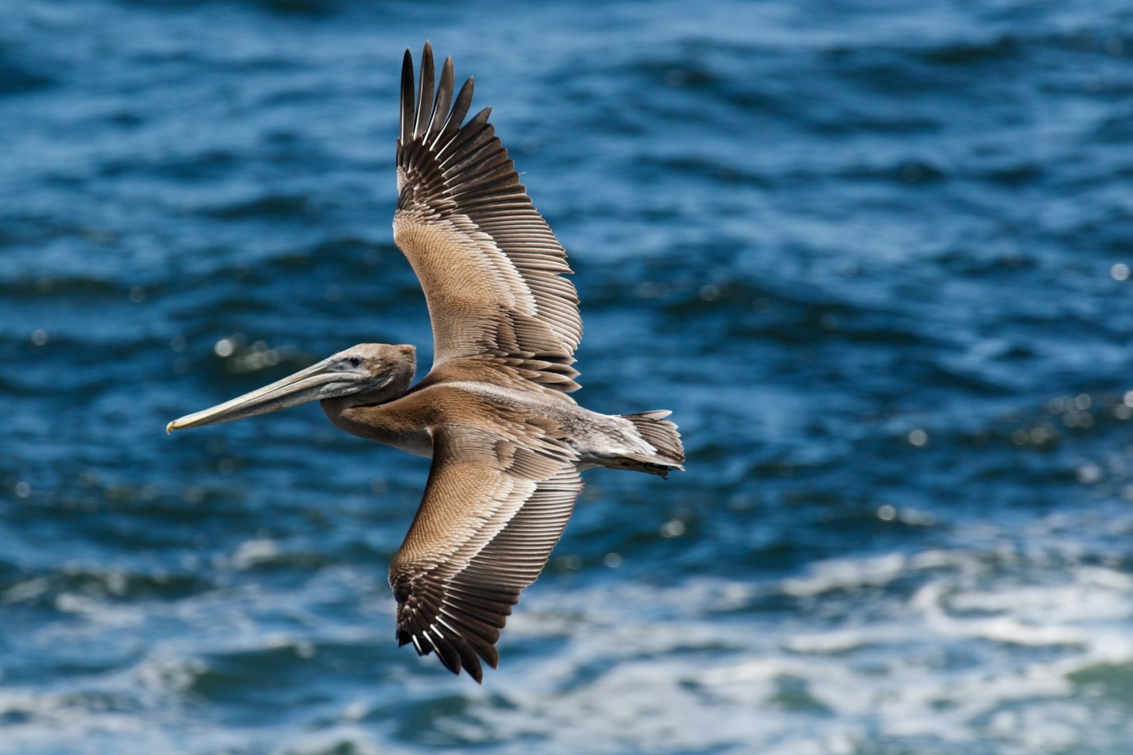  Photo Credit: Photo by Chris Wright on Unsplash