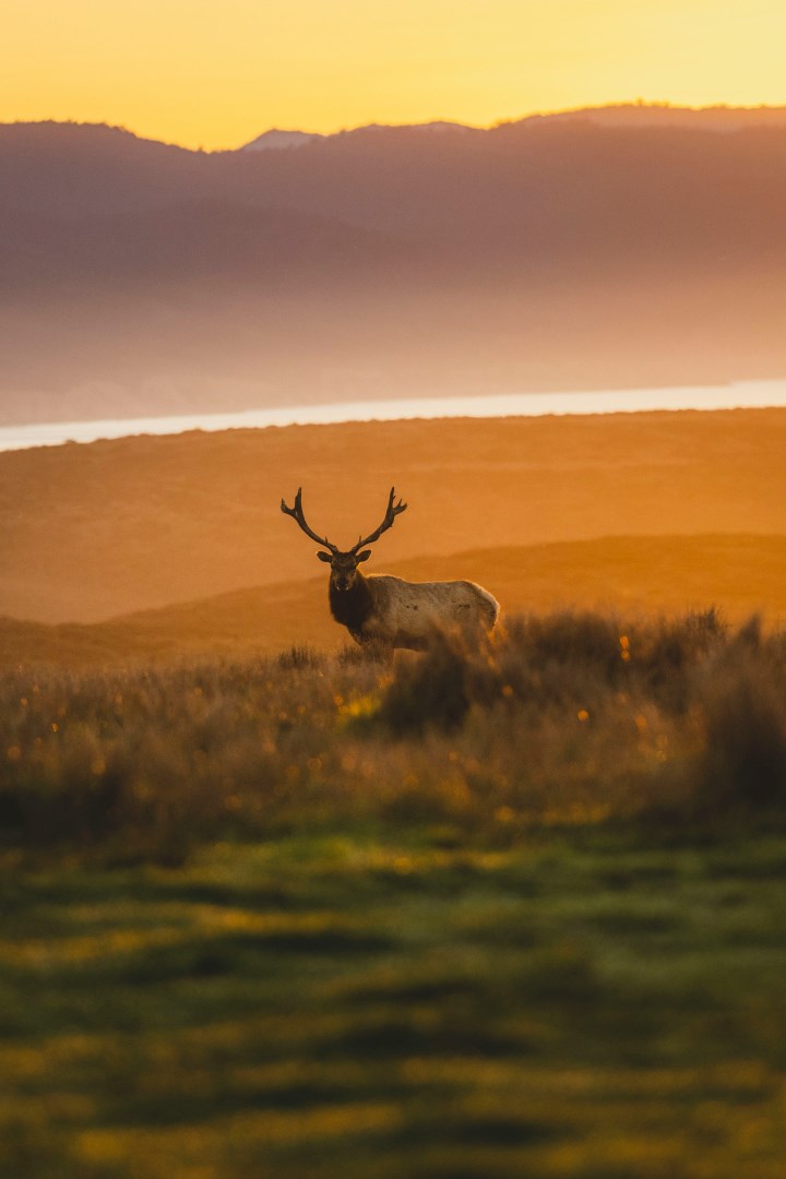  Photo Credit: Photo by Leo_Visions on Unsplash