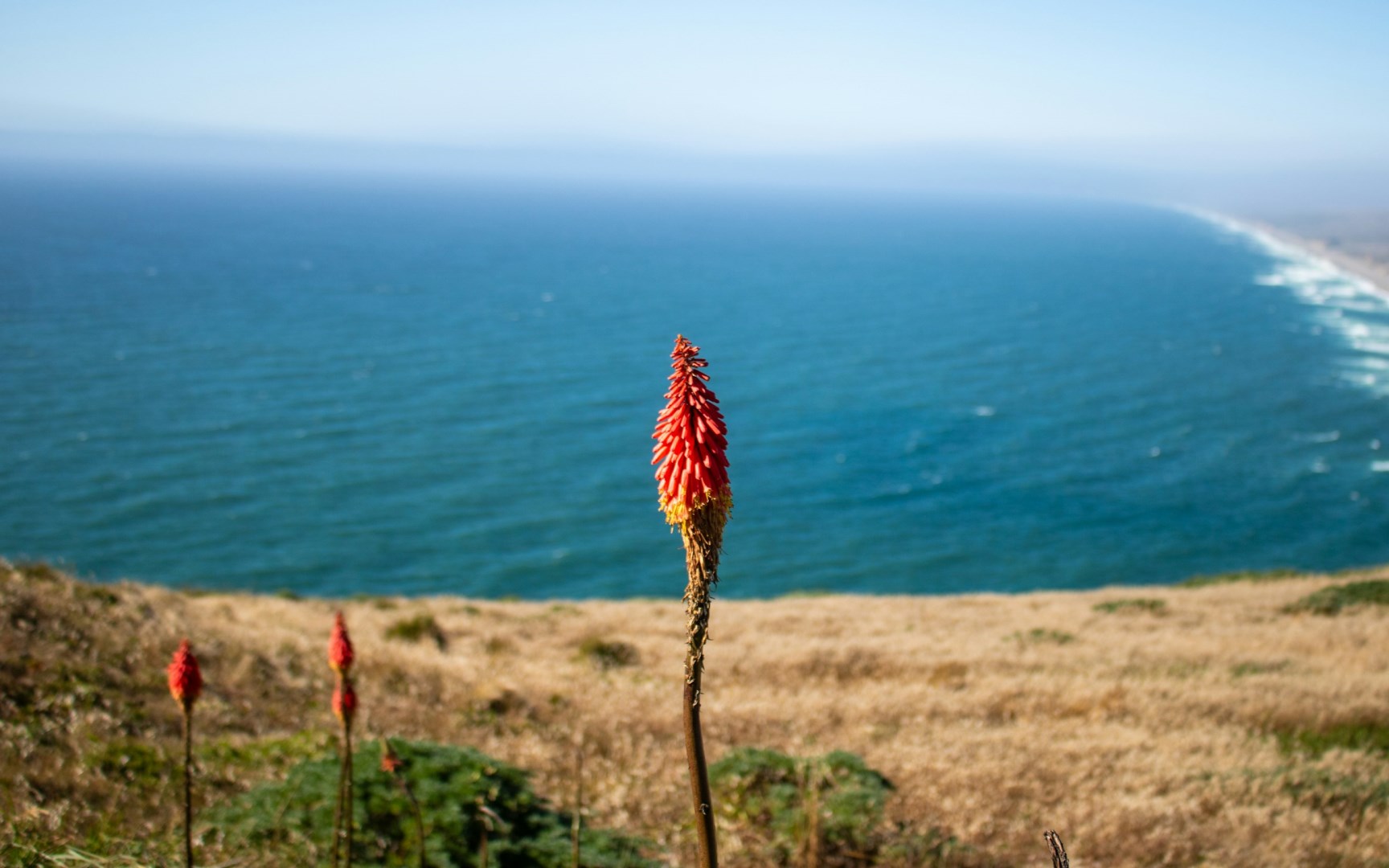 Point Reyes