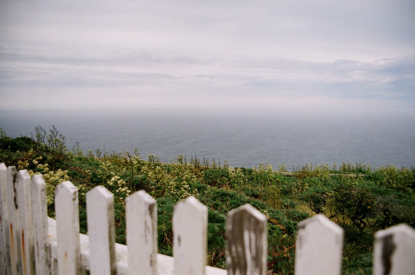  Photo Credit: Photo by Matt Essig on Unsplash