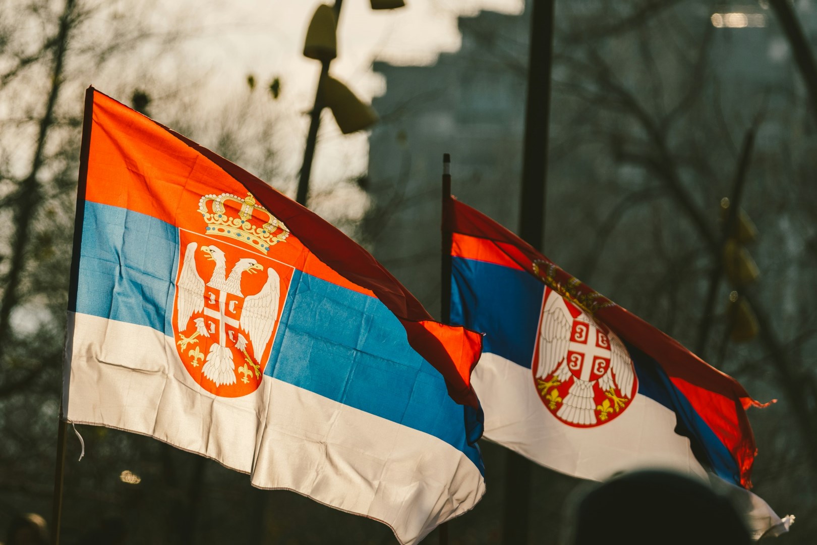  Photo Credit: Photo by Stefan Kostić on Unsplash