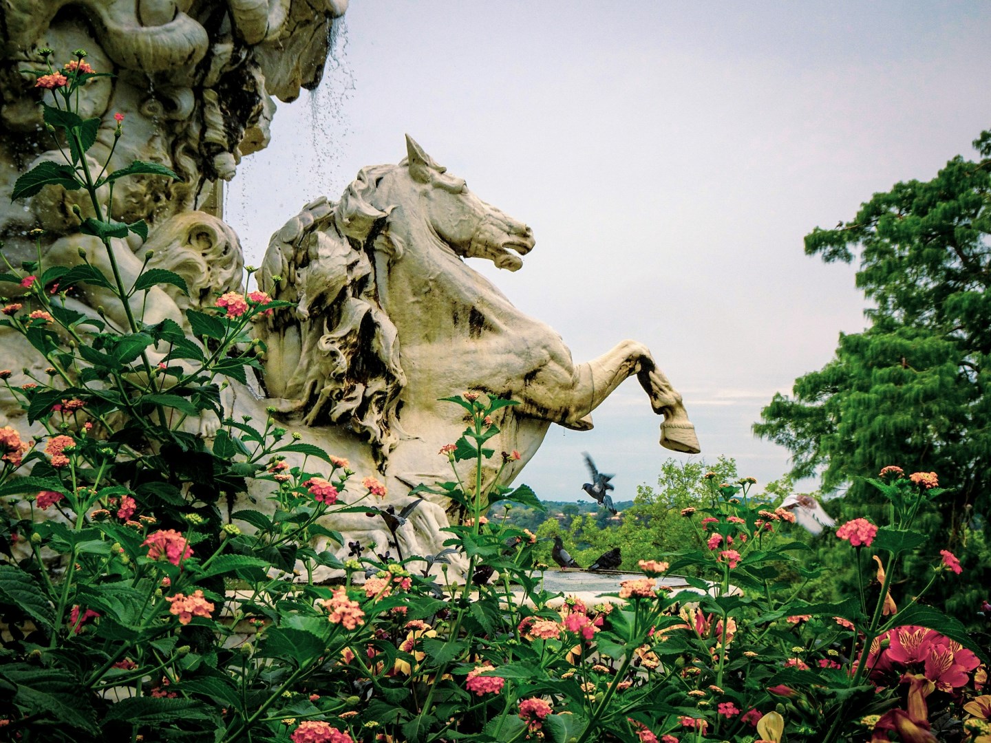  Photo Credit: Jardin du Luxembourg