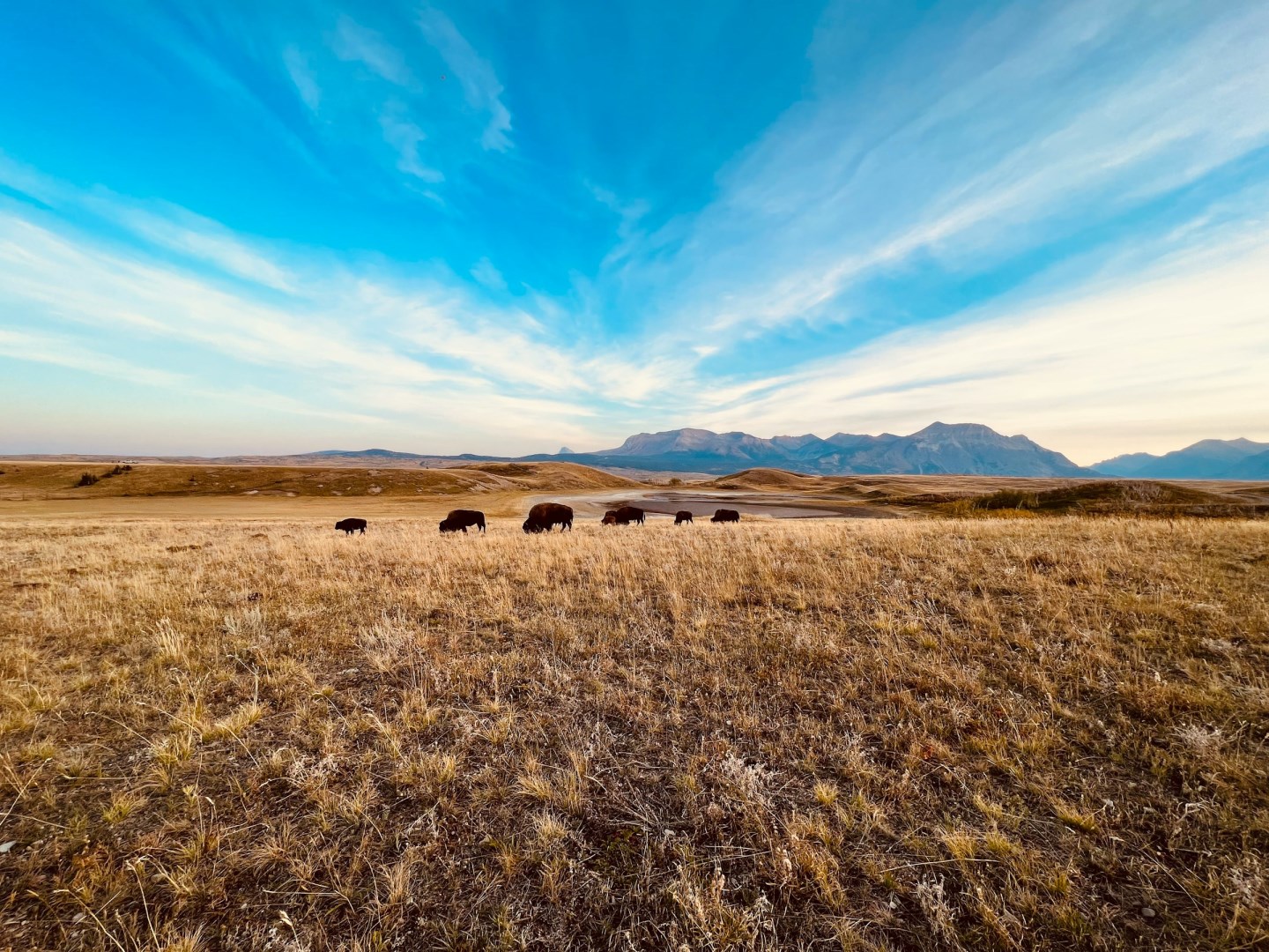  Photo Credit: Photo by Gabriel Rojas on Unsplash