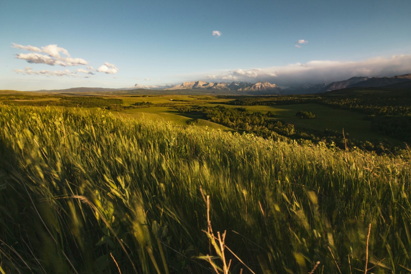  Photo Credit: Photo by Ryan Stone on Unsplash