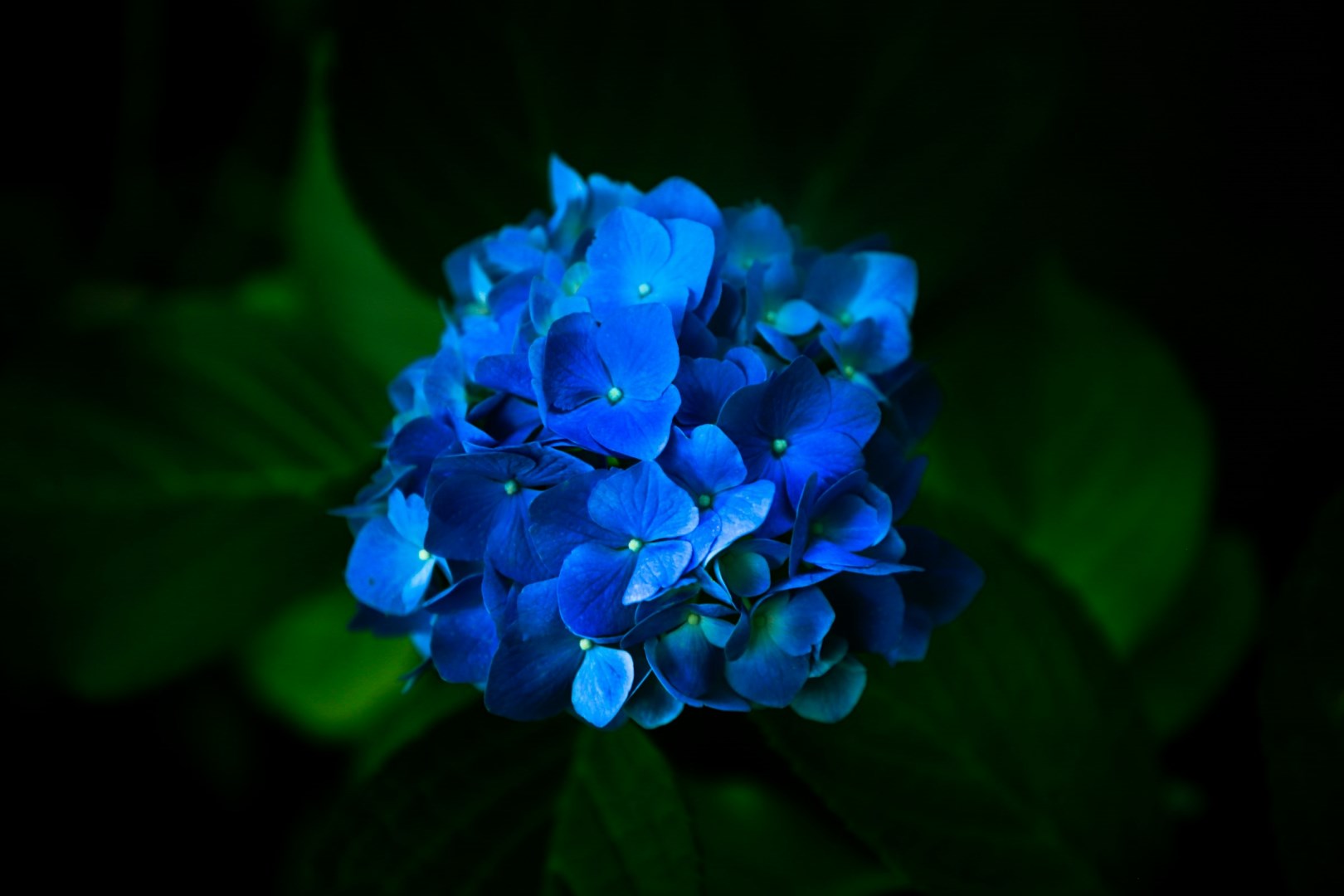  Photo Credit: Photo by Ryan Carpenter on Unsplash