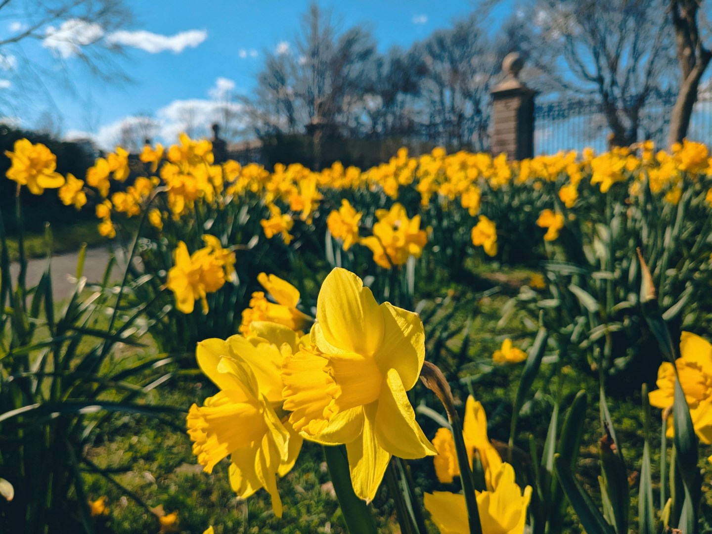  Photo Credit: Photo by Mohammed Shonar on Unsplash