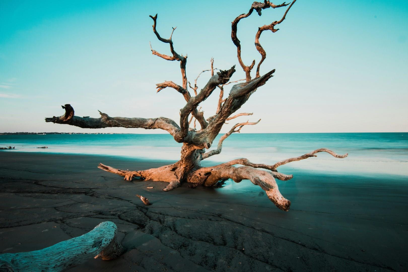Jekyll Island