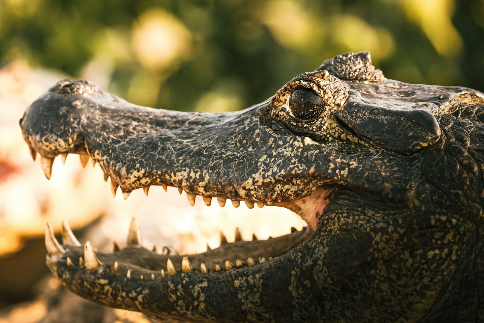  Photo Credit: Photo by David Waite on Unsplash