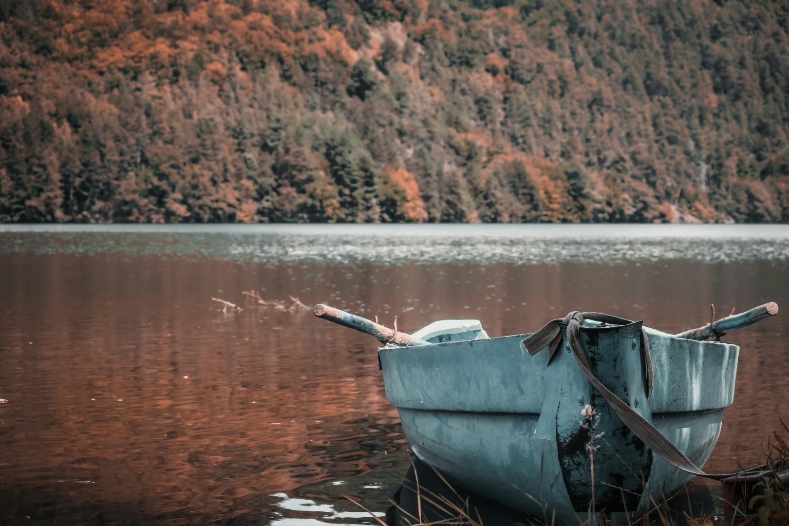  Photo Credit: Photo by Elisa Photography on Unsplash