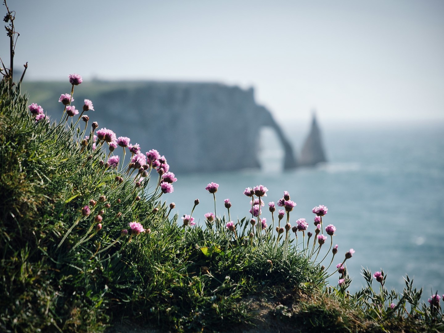  Photo Credit: Photo by Allyson Beaucourt on Unsplash