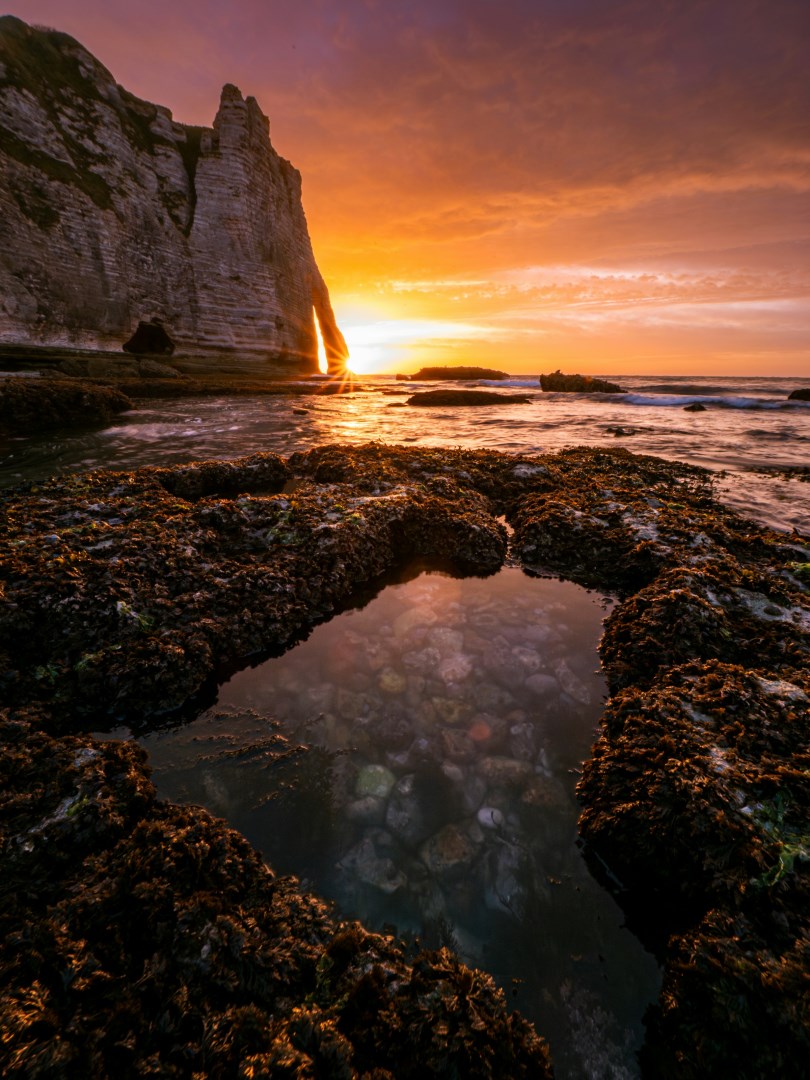  Photo Credit: Photo by Evgeni Tcherkasski on Unsplash