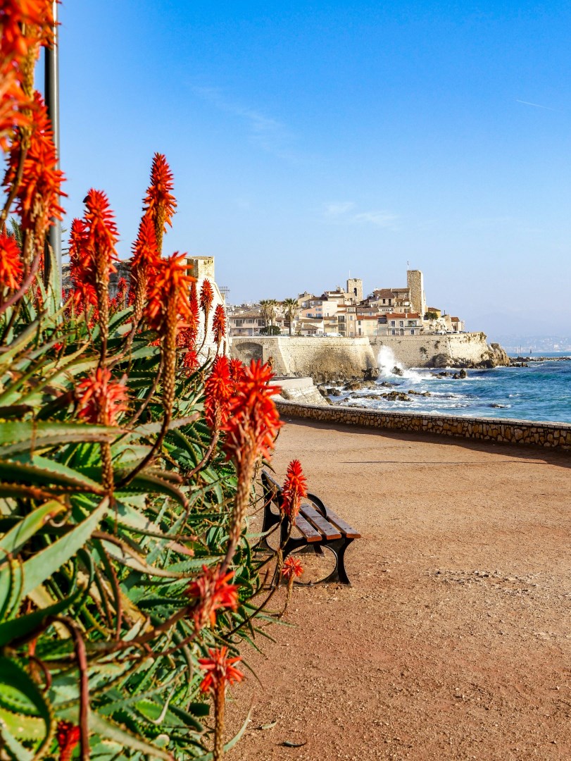  Photo Credit: Photo by V2F on Unsplash