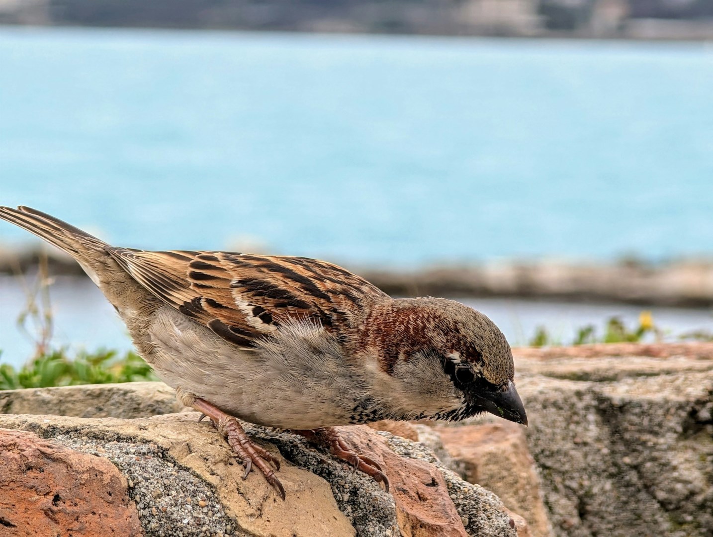  Photo Credit: Photo by Emilia Carvalho on Unsplash