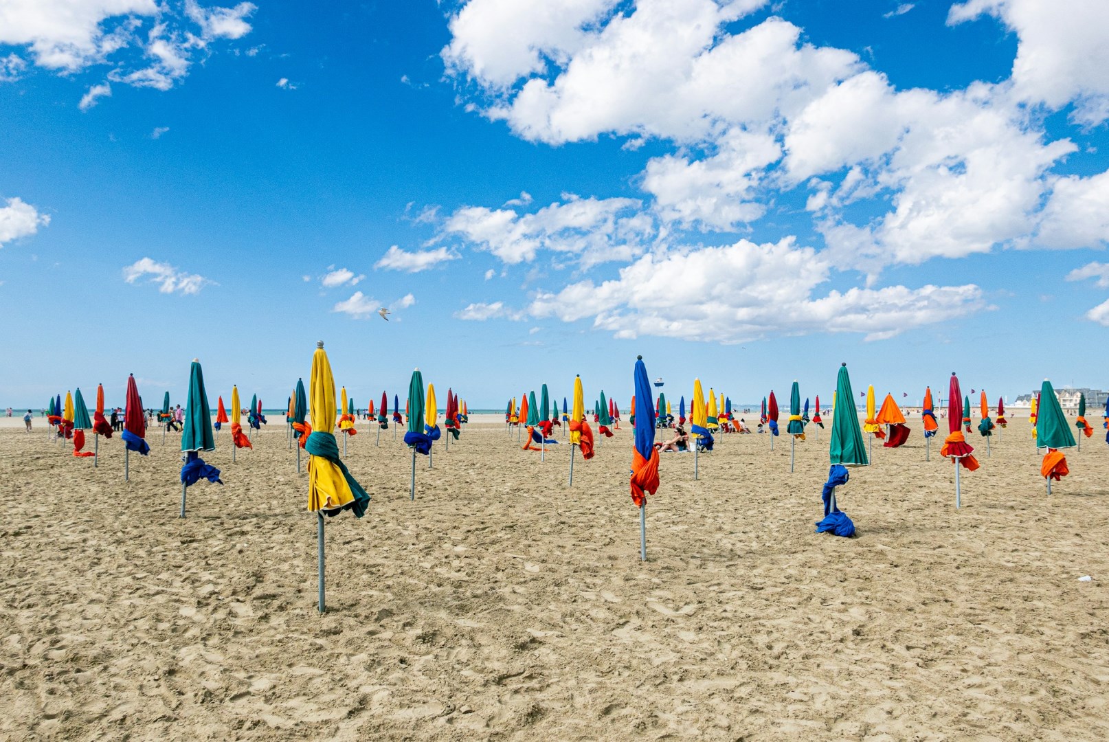  Photo Credit: Photo by Tom Delanoue on Unsplash
