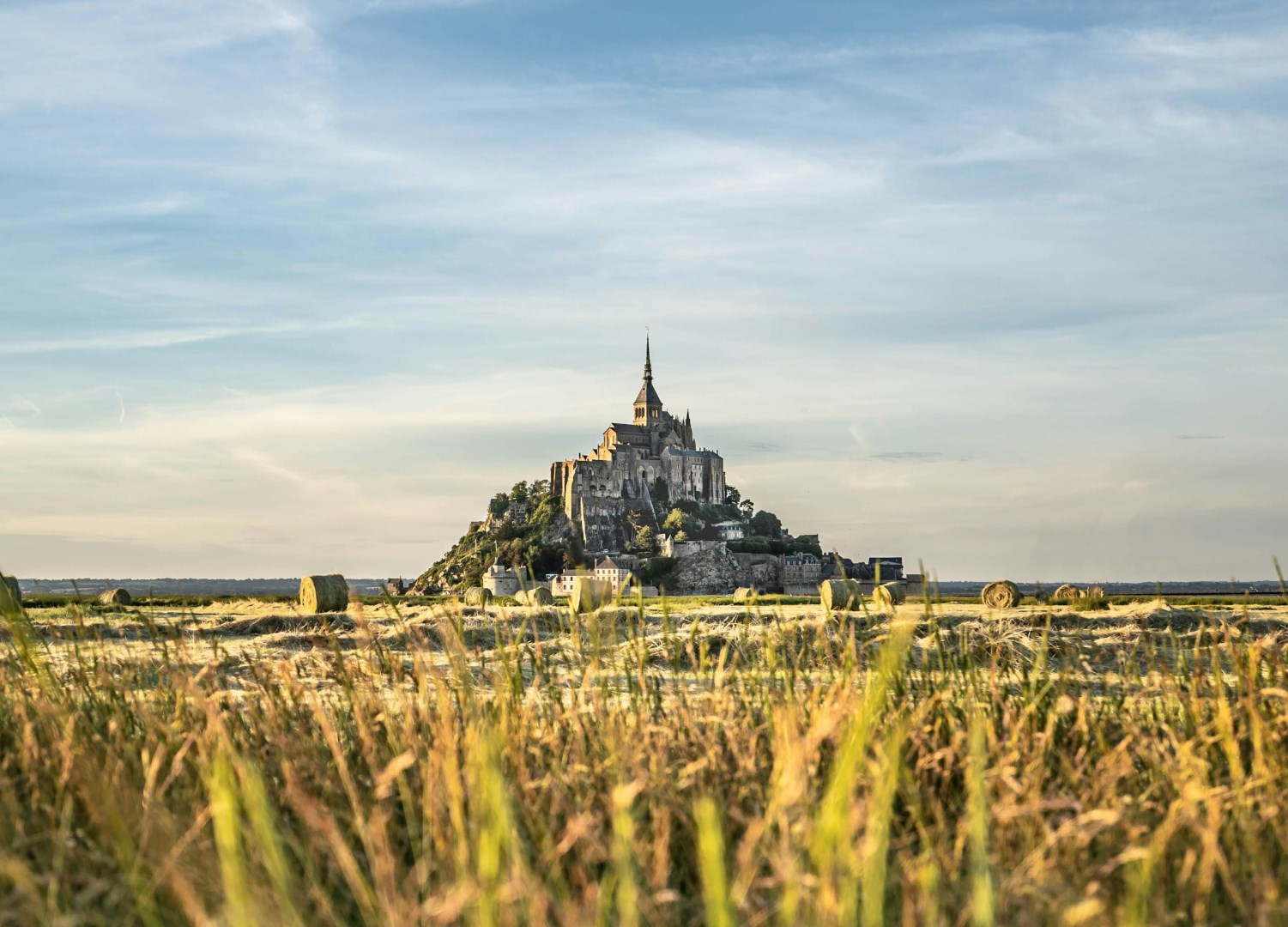  Photo Credit: Photo by dan wilding on Unsplash