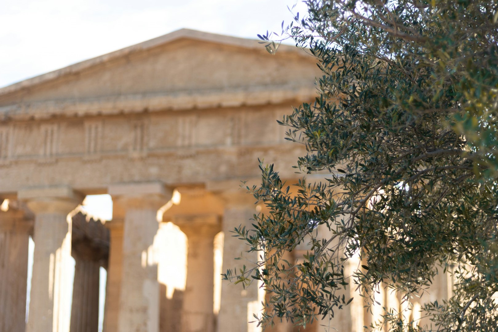  Photo Credit: Photo by Luca Franzoi on Unsplash