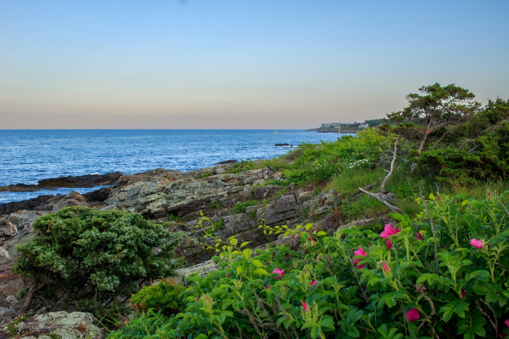  Photo Credit: Photo by Peregrine Photography on Unsplash