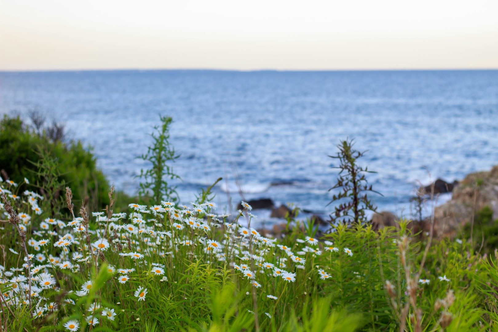  Photo Credit: Photo by Peregrine Photography on Unsplash
