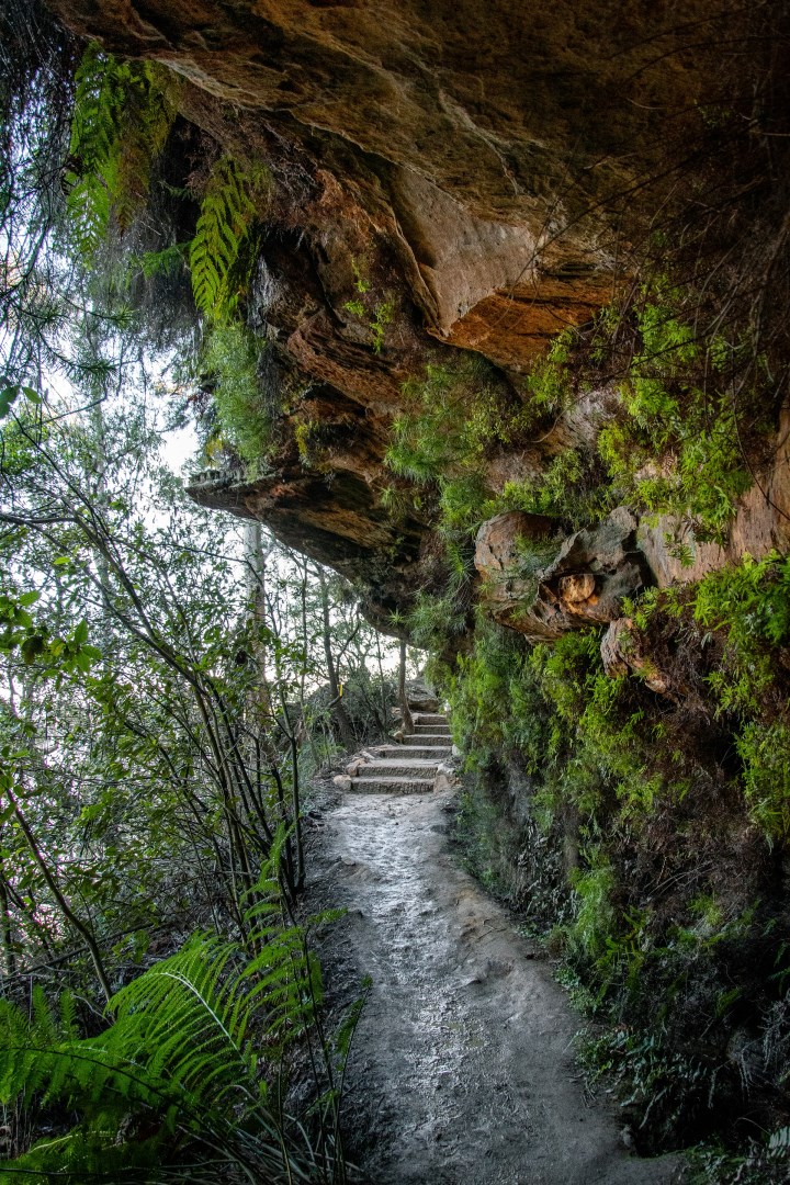 Undercliff-Overcliff Track - Photo Credit: Photo by Laura Barry on Unsplash