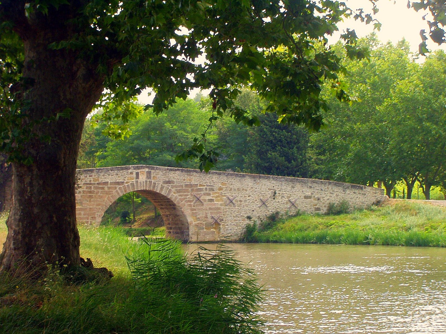 Capestang