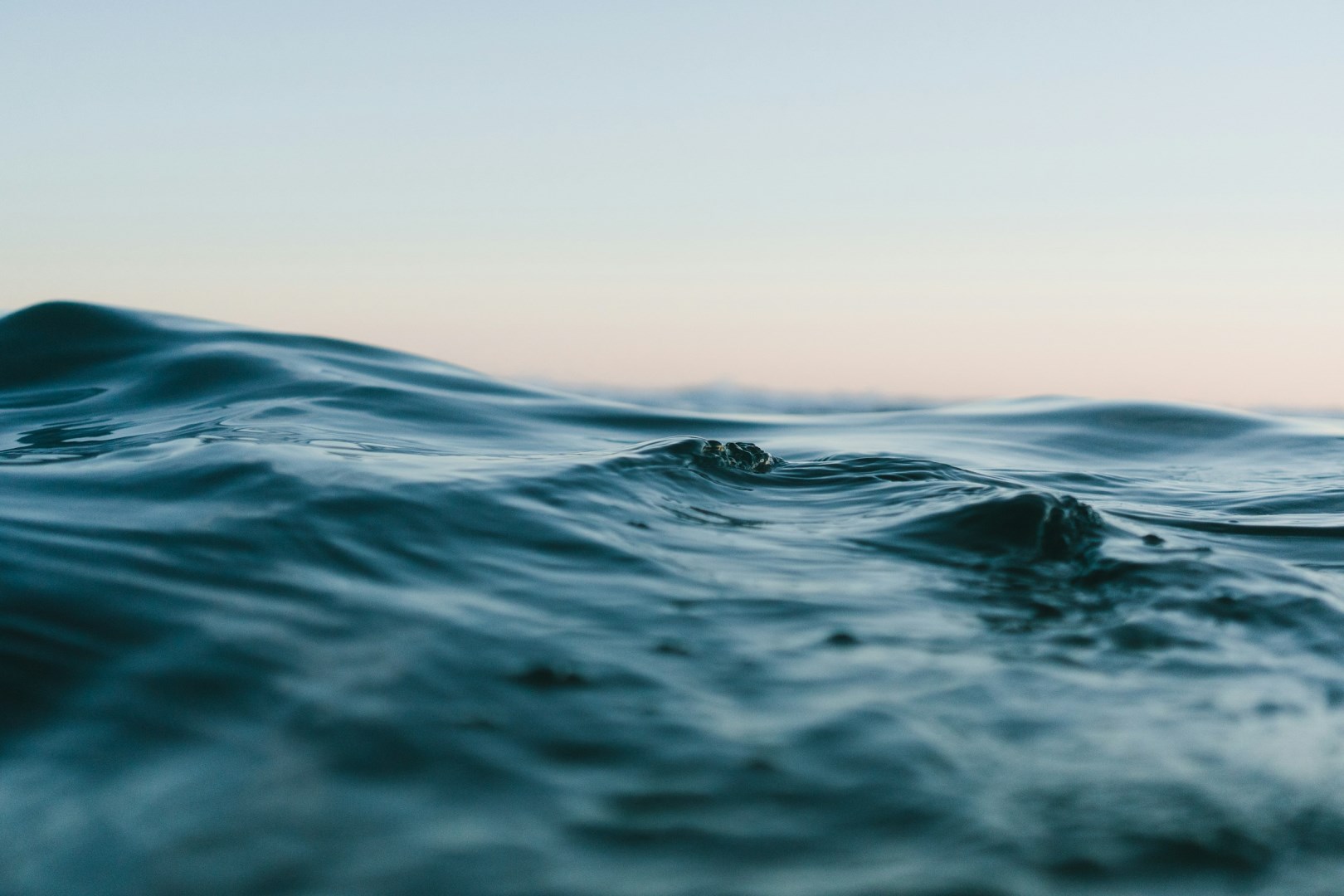 Waves off of Bondi Beach - Photo Credit: Photo by Matt Hardy on Unsplash