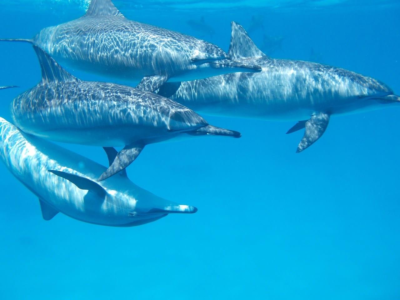 Pacific Ocean
