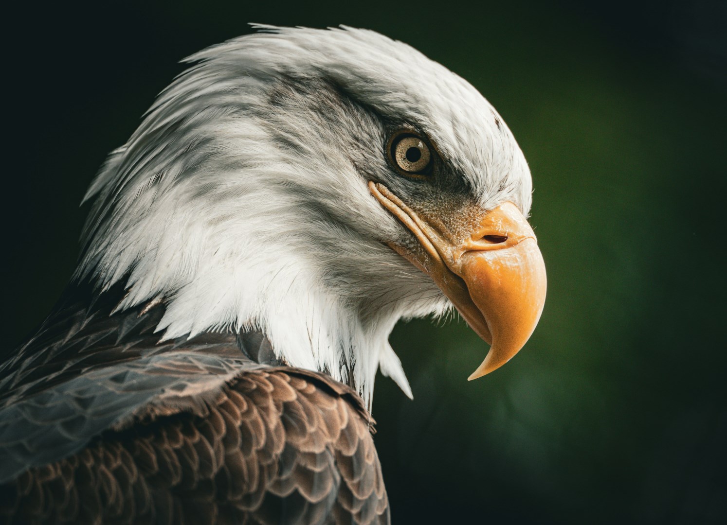  Photo Credit: Photo by Venti Views on Unsplash