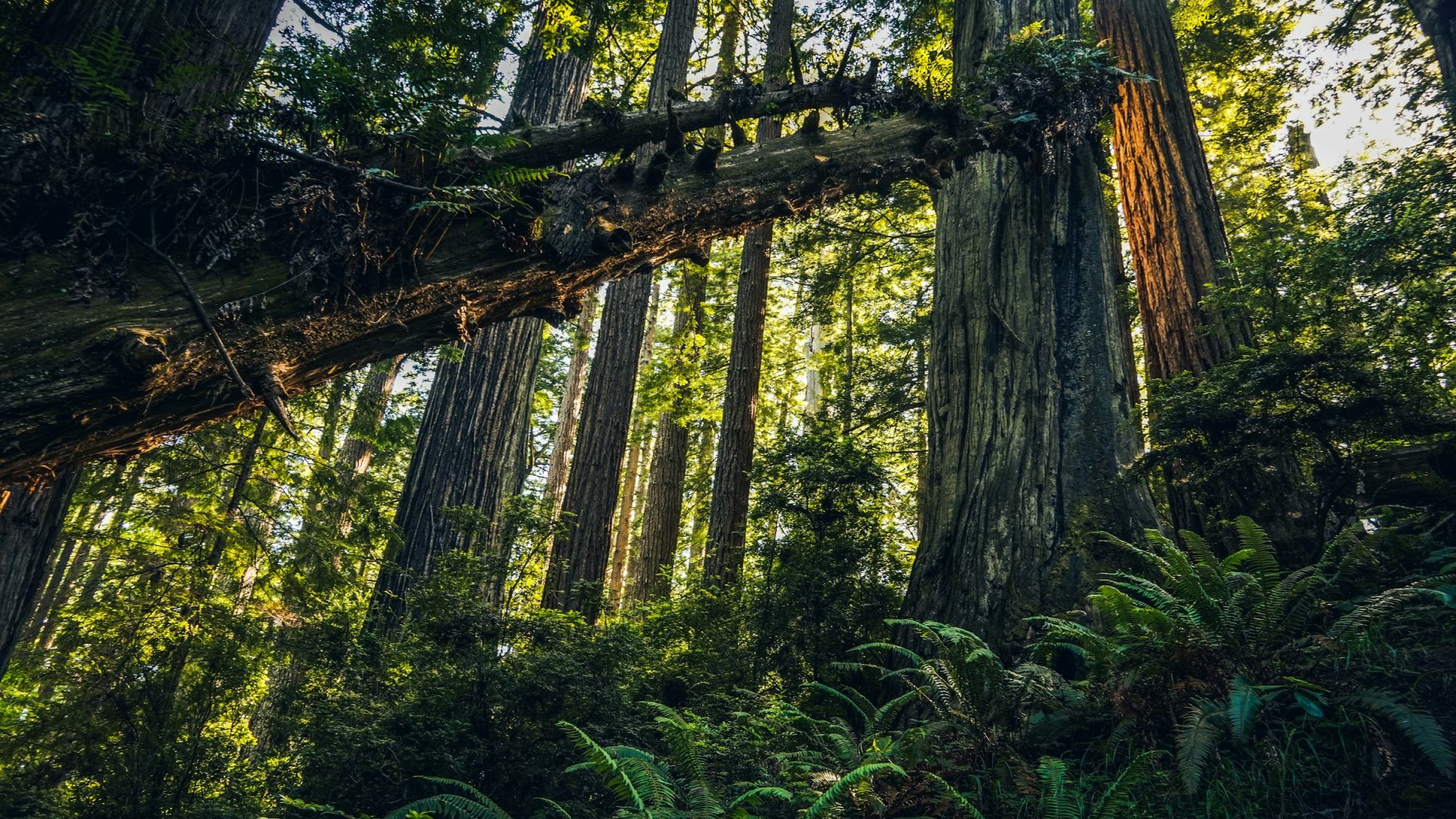  Photo Credit: Photo by Adrián Valverde on Unsplash
