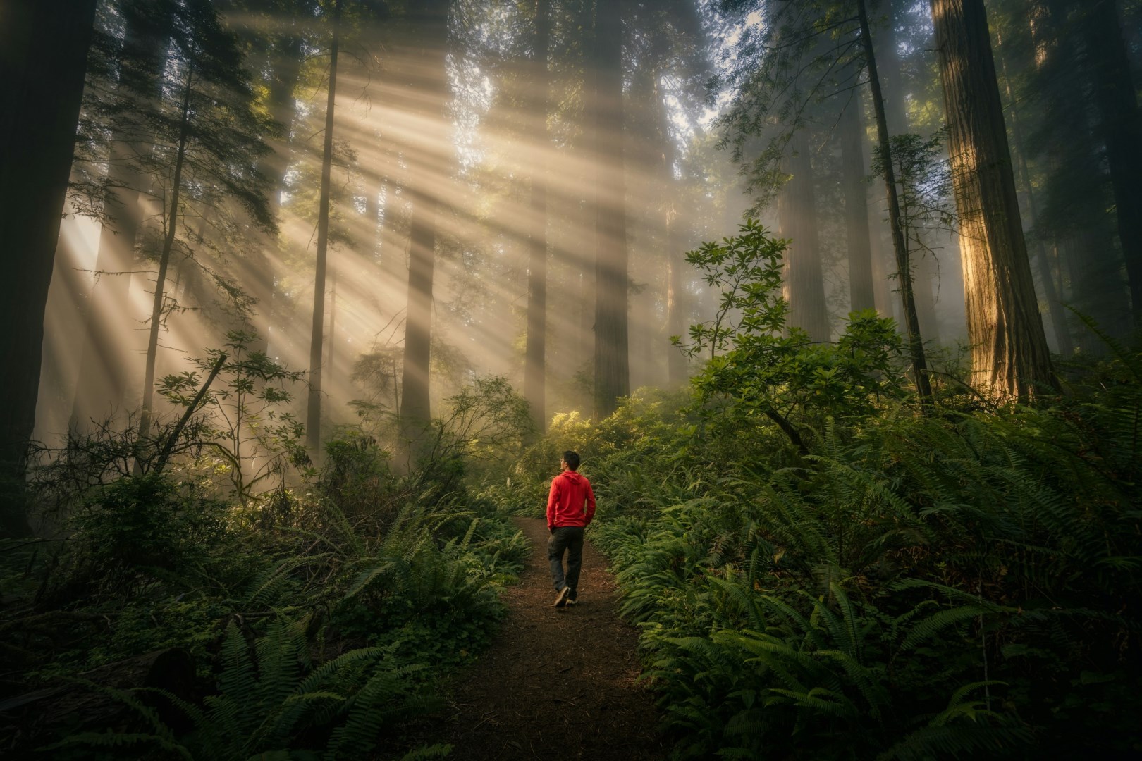  Photo Credit: Photo by Zetong Li on Unsplash
