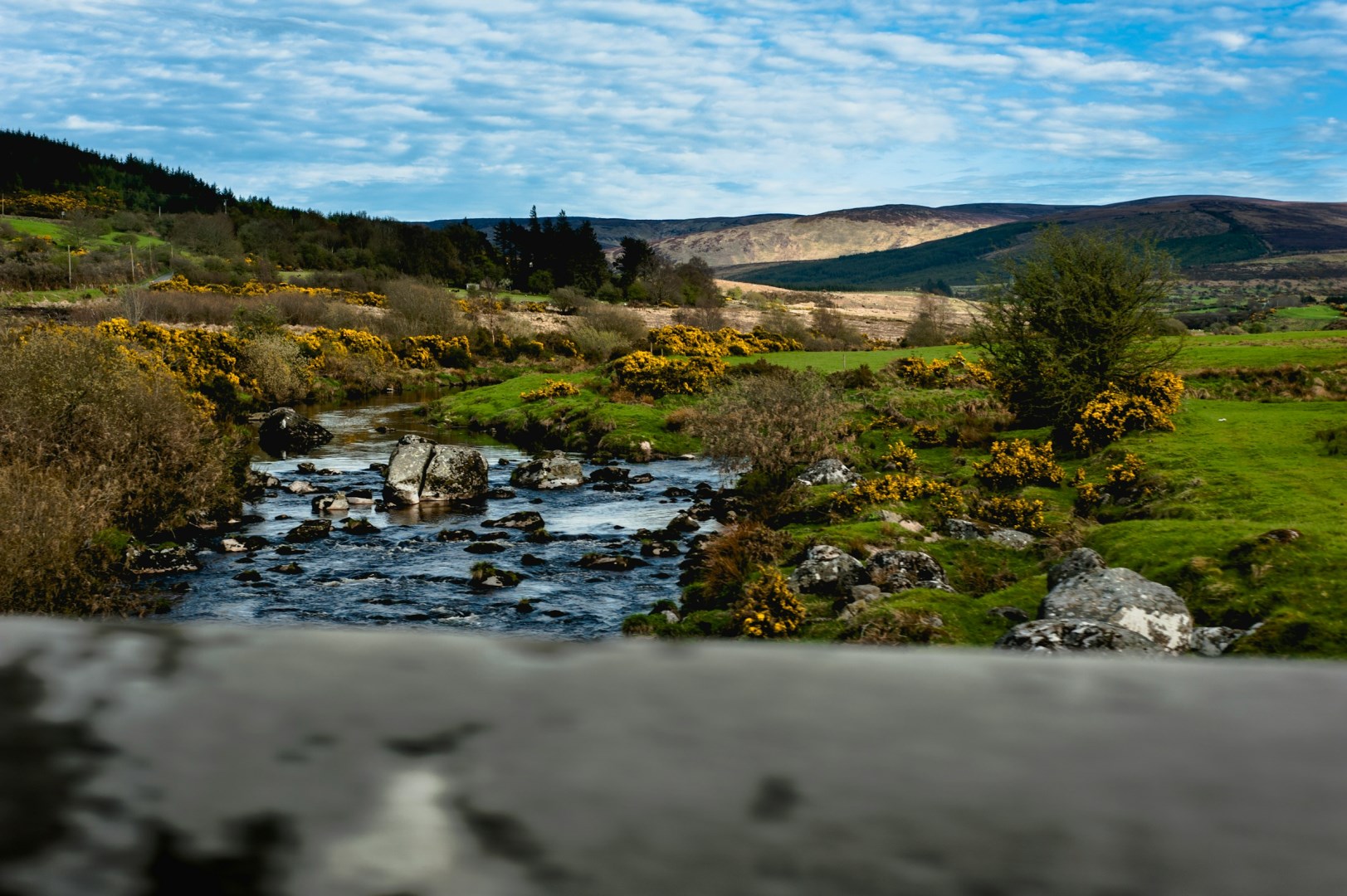  Photo Credit: Photo by Naseem Buras on Unsplash