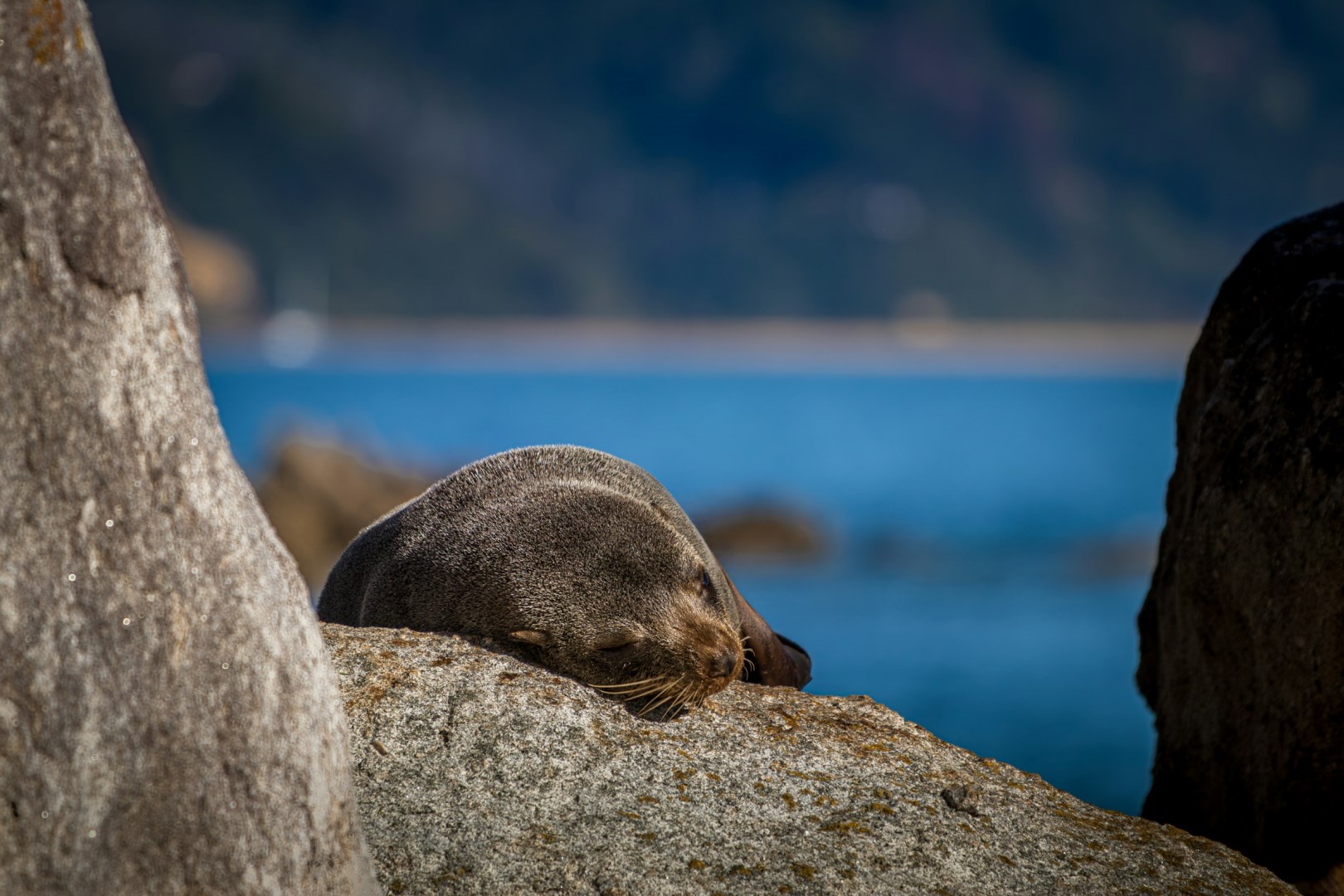  Photo Credit: Photo by David Zieglgänsberger on Unsplash